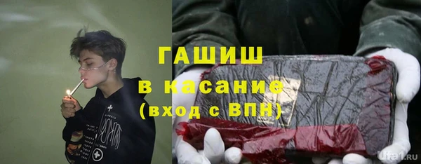 гидра Володарск