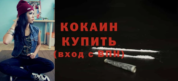 гидра Володарск