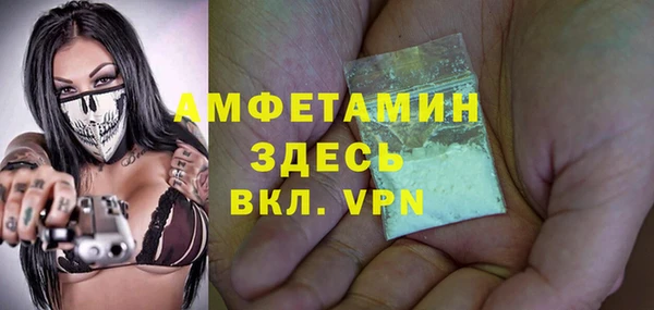 гидра Володарск