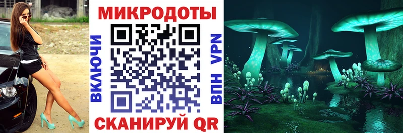 Псилоцибиновые грибы прущие грибы  Петровск 