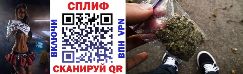 Бошки Шишки планчик  OMG ONION  Петровск 